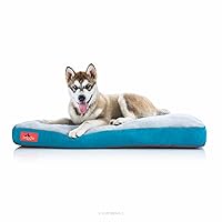 Brindle Shredded Memory Foam Dog Bed with Removable Washable Cover-Plush Orthopedic Pet Bed- 40 x 26 inches - Teal