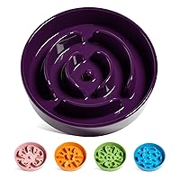 LE TAUCI Dog Bowls Slow Feeder Ceramic, 1.5 Cups Slow Feeding Dog Bowl Small Medium Breed, Puppy Slow Feeder Bowl for Fast Eater, Dog Dishes to Slow Down Eating, Puzzle Dog Food Bowl, Maze Purple