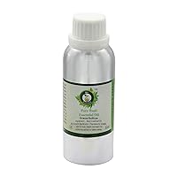 R V Essential Pure Basil Essential Oil 630ml (21oz)- Ocimum Basilicum (100% Pure and Natural Therapeutic Grade)