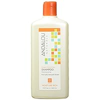 Andalou Naturals Argan Oil & Shea Moisture Rich Shampoo, Orange, 11.5 Ounce