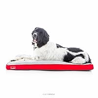 Brindle Shredded Memory Foam Dog Bed with Removable Washable Cover-Plush Orthopedic Pet Bed - 46 x 28 inches - Red