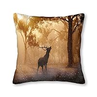 Sun Rain Snow Wild Nature Forest Deer Animal Art Animal Pillow Covers Pillowcases Home Decor Bed Couch Sofa Office Living Room Cushion 16x16Inch