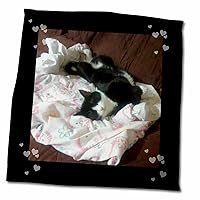 3dRose Cute Sleepy Black White Tux Cat on Couch Photo - Towels (twl-242429-3)