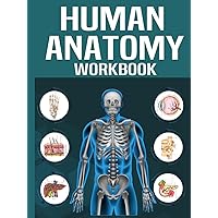 Human Anatomy Workbook For Student: Most Effective Way to Learn the Anatomy of the Human Body, by Labeling, Comprehensive Guide for Learners, Nurses, ... Healthcare Students and all lovers of Anatomy Human Anatomy Workbook For Student: Most Effective Way to Learn the Anatomy of the Human Body, by Labeling, Comprehensive Guide for Learners, Nurses, ... Healthcare Students and all lovers of Anatomy Hardcover Paperback