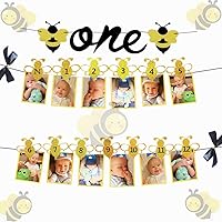 JeVenis Set of 2 Bumble Bee Monthly Photo Banner First Year Photo Banner First Birthday Photo Banner 12 Month Bee Photo Banner for First Birthday Decoration 1st birthday decoration