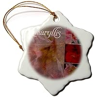 3dRose WhiteOaks Photography and Art - Layer Effect - Amaryllis Collage - Ornaments (orn-180497-1)