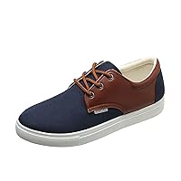 Casual Cut Shoes for Men Flat Lace Up Round Toe Comfortable Casual Shoes