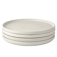 Set of 4 Stoneware Dinner Plates White
