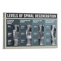 ZHJLUT Posters Chiropractor Levels Of Spinal Degeneration Poster Chiropractic Decor Canvas Wall Art Picture Modern Office Family Bedroom Living Room Decor Gift 08x12inch(20x30cm) Frame-style