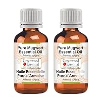 Pure Mugwort Essential Oil (Artemisia vulgaris) Steam Distilled (Pack of Two) 100ml X 2 (6.76 oz)