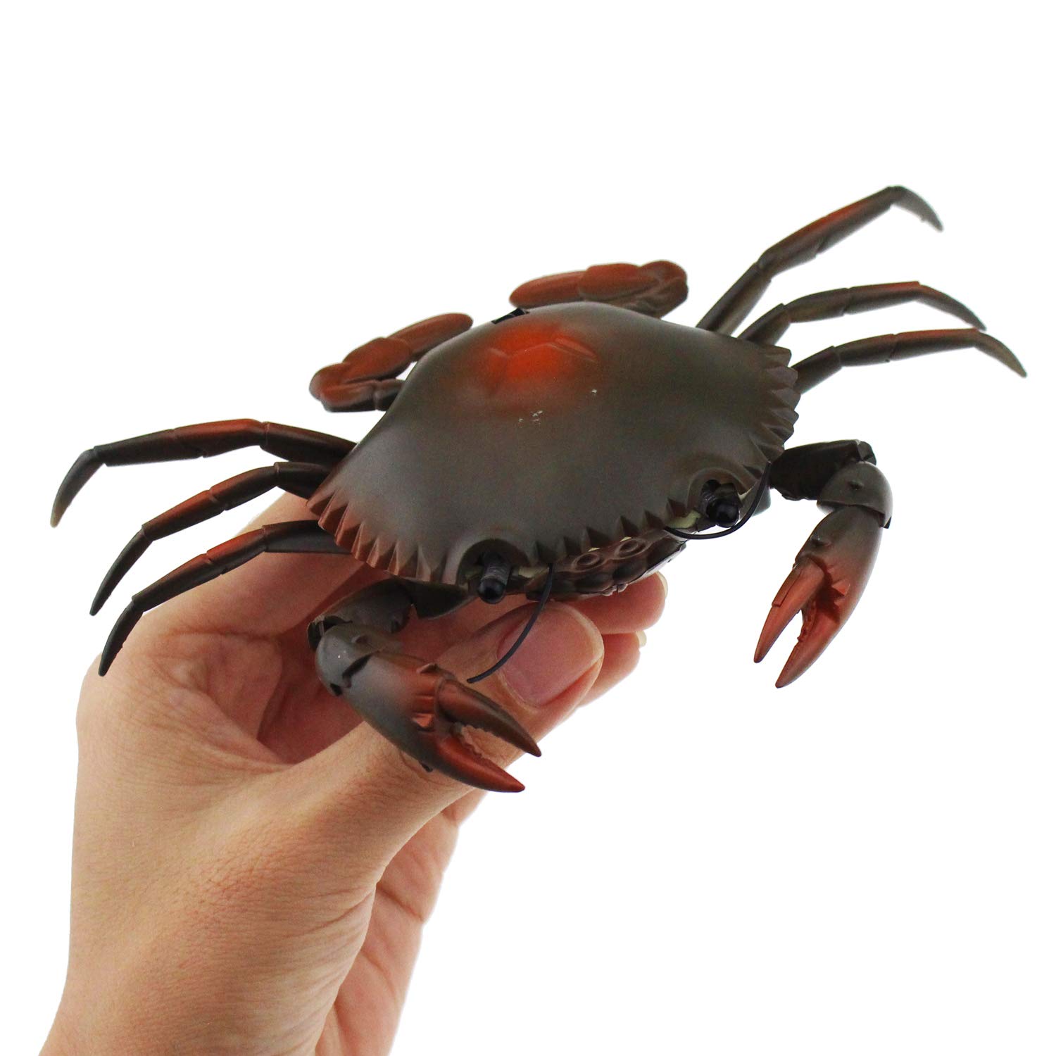 Tipmant RC Crab Animal Toy Remote Control Car Vehicle Electronic Fake Insect for Kids Birthday Gift Christmas Halloween (Grey)