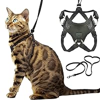 Houdini™ Escape Resistant Cat Harness and Leash Set by OutdoorBengal for Walking Cats (M)