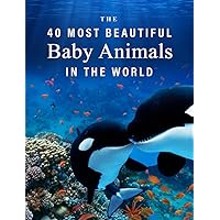 The 40 Most Beautiful Baby Animals in the World: A full color picture book for Seniors with Alzheimer's or Dementia (The 
