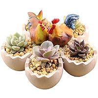 Resin Flower Pot Creative Chickens Eggs Design Micro Landscape Artificial Creative Succulent Plants Pot Vase (Chicken)