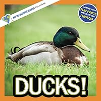 Ducks!: A My Incredible World Picture Book for Children (My Incredible World: Nature and Animal Picture Books for Children)