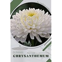 Chrysanthemum: Plant Guide