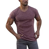 Tshirts Shirts for Men V Neck Fashion 2024 Casual Short Sleeved Summer Knit T Shirt Gifts for Men