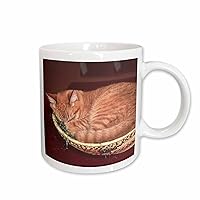 3dRose Orange Tabby Cat Asleep in an Easter Basket Charles Sleicher Ceramic Mug, 15 oz, White