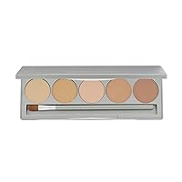 Colorescience Mineral Corrector Palette SPF 20 , 1 Count (Pack of 1)