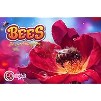 Bees: The Secret Kingdom – Card Game 2-6 Players – Card Games for Family 20 Minutes of Gameplay – Games for Family Game Night – Kids and Adults 10+ - English Version