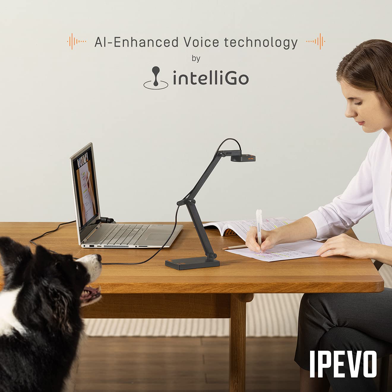 IPEVO V4K PRO Ultra HD USB Document Camera with AI-Enhanced Mic, for Classroom visualization, Online Teaching, Work from Home, Streaming, with Noise Cancellation for Clear Voice