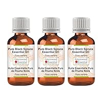Pure Black Spruce Essential Oil (Picea Mariana) Steam Distilled (Pack of Three) 100ml X 3 (10 oz)