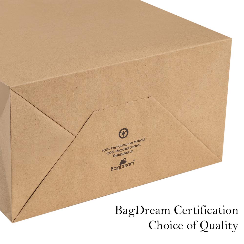 BagDream Gift Bags 8x4.25x10.5 25Pcs Kraft Paper Bags, Shopping Bags, Merchandise Retail Grocery Bags, Brown Paper Gift Bags Bulk with Handles 100% Recyclable Paper Bags Sacks