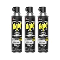 Raid Wasp and Hornet Killer, 17.5 OZ (Pack of 3)
