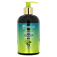 Mielle Avocado & Tamanu Anti-Frizz Shampoo 12 Fl Oz (Pack of 1)