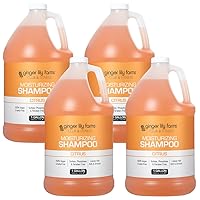 Ginger Lily Farms Club & Fitness Moisturizing Shampoo for All Hair Types, 100% Vegan & Cruelty-Free, Citrus Scent, 1 Gallon Refill (Pack of 4)