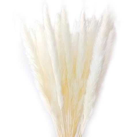 Natural Dried Pampas Grass, Reed Communis Wedding Bouquet, 61 cm High