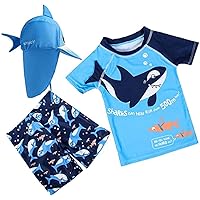 Baby Boys Swimsuit Toddler Two Pieces Swimwear Set Dinosaur Bathing Suit Rash Guards with Hat UPF 50+