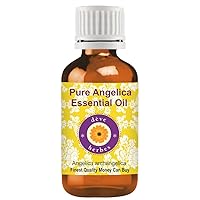 Deve Herbes Pure Angelica Essential Oil (Angelica archangelica) Steam Distilled 100ml (3.38 oz)