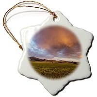 3dRose Wheat Field, Tobacco Root Mountains, Montana, USA - US27 CHA2859... - Ornaments (orn-144901-1)