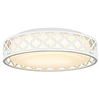 Flush Mount LED Ceiling Light Fixture, 14inch 20W 1400 Lumens Ceiling Lamp, Dimmable 3000K, Metal Frame and Acrylic Lampshade， ETL Listed for Kitchen, Hallway, Bedroom, Laundry
