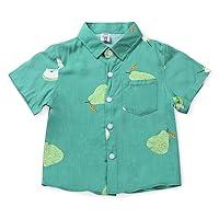 Little & Big Boy's Print Button Down Hawaiian Shirt Short Sleeve Tops