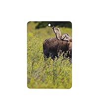 Moose 2-Piece Set Of Car Aromatherapy Tablets, Suitable For Car Interiors, Bedrooms, And Bathrooms Rectangle