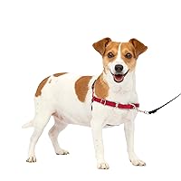 PetSafe Easy Walk No-Pull Dog Harness - The Ultimate Harness to Help Stop Pulling - Take Control & Teach Better Leash Manners - Helps Prevent Pets Pulling on Walks - Small, Red/Black