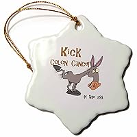 3dRose orn_115590_1 Kick Colon Cancer in The Ass Awareness Ribbon Cause Design-Snowflake Ornament, 3-Inch, Porcelain