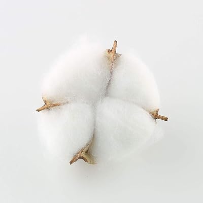  Tegg Cotton Boll 20PCS Natural White Cotton Balls