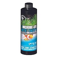 NITEH16 Nite-Out II Aquarium and Fish Tank Cleaner for Rapid Ammonia and Nitrite Reduction, Freshwater and Saltwater, 16 Ounces