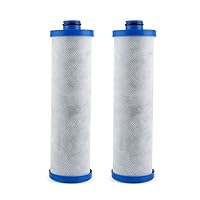 Replacement Compatible for WaterPur KW1 Water Filter for Built-In RV Water Filtration Systems, 2-pack