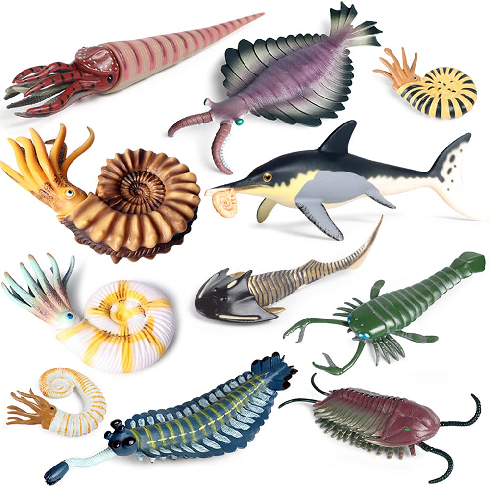 Mua 11PCS Prehistoric Sea Creatures Toys, Ancient Cambrian Ocean Animal  Figurines Plastic Educational Marine Animal Figures for Cake Topper, School  Project, Learning Toy trên Amazon Mỹ chính hãng 2023 | Giaonhan247