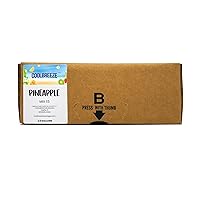 Coolbreeze Beverages Juice Concentrate 2.5 Gallon BIB Bag In Box - Ready To Use, Shelf Stable - Pineapple Juice