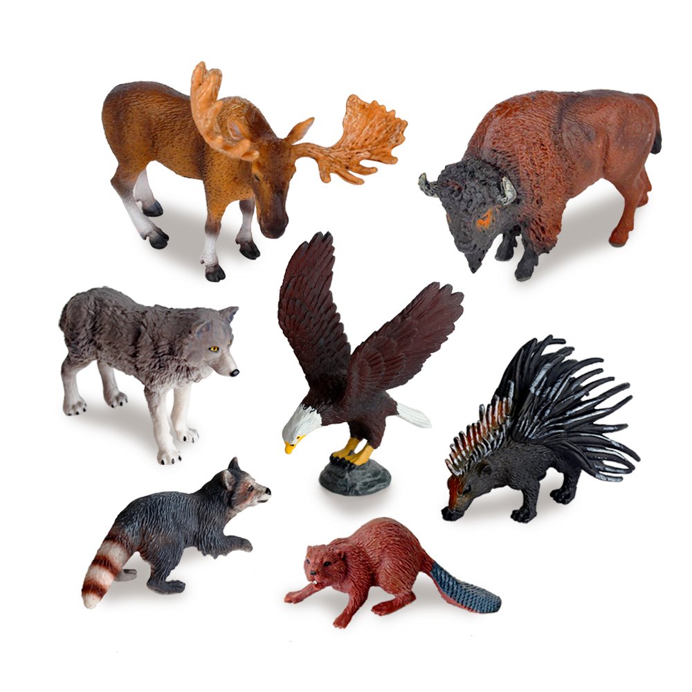Mua Ericoo Animal Toys Set Educational Resource Reallistic High Simulation  North American Animals Figures with CPC Approval and ASTM Test -Anim006  trên Amazon Mỹ chính hãng 2023 | Giaonhan247