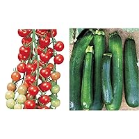 Super Sweet 100' Hybrid Cherry Tomato, 50 Seeds & Black Beauty Zucchini Summer Squash Seeds 100 Seeds