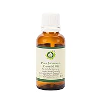 Jatamansi Essential Oil | Nardostachys Jatamansi | 100% Pure Natural | Nardostachys Jatamansi Oil | Jatamansi Oil for Hair | Steam Distilled | Therapeutic Grade | 15ml | 0.507oz by R V Essential