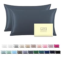 Silk Pillow Cases 2 Pack Soft Breathable and Sliky Standard Size Pillow Cases Set of 2,Natural Mulberry Satin Silk Pillowcase with Hidden Zipper for Hair and Skin (Space Grey,20