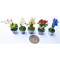 Mixed 5 Lovely Mix Plant Flower Dollhouse Miniature Flower,Home Decore