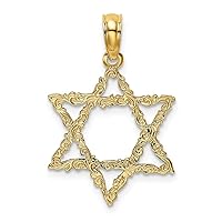 16mm 14k Gold Religious Judaica Star of David With Scroll Design Jewish Jewelry for Women